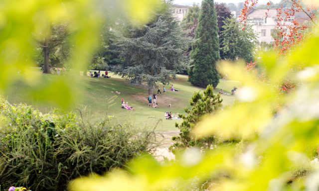 Calverley Grounds A shot of calverley grounds through foliage, sunny. Grass and trees with some people enjoying the park.